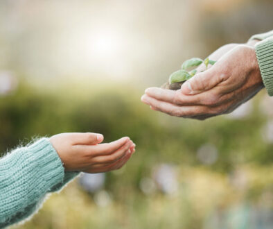 grandfather hands giving grandchild a plant