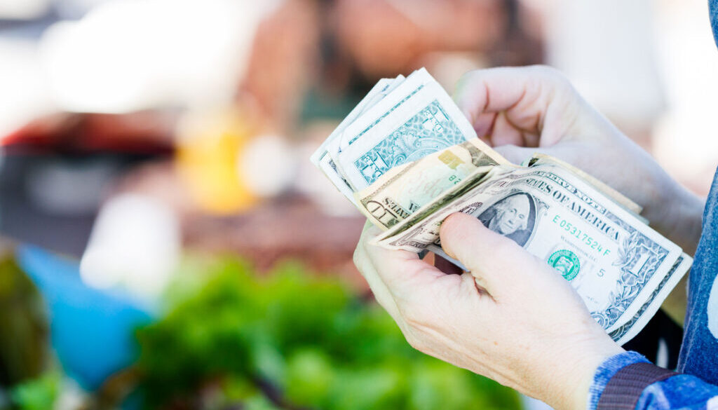 Hands counting money in a grocery store